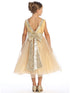 Girls Gold V Back Trim Shantung Sparkle Tulle Flower Girl Dress 2T-10 back SophiasStyle.com